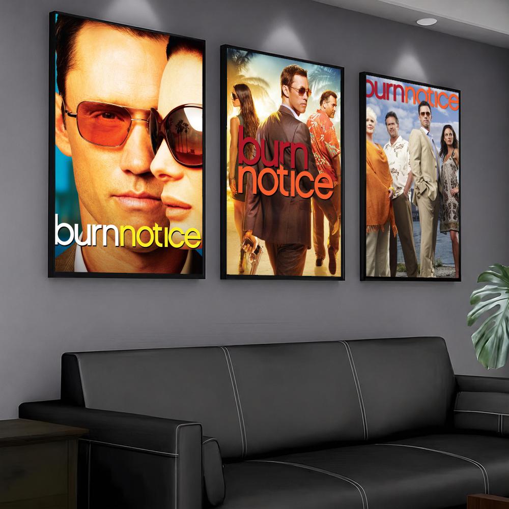 ซีรีส์ทีวี B-Burn Notice-E ภาพ - Interior Design Tv Room บทวิจารณ์และราคา